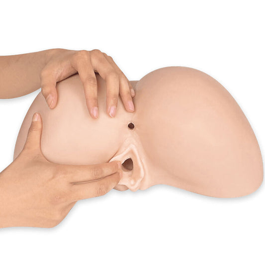 SILEXD -  CULO FEMMINILE REALISTICO